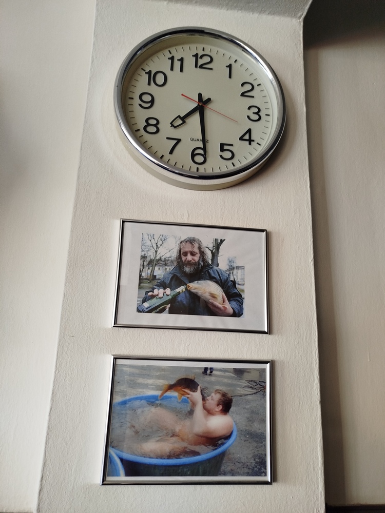 Zahrádka – pergola